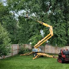  Nissequogue, NY Tree Removal and Landscaping Services Pros